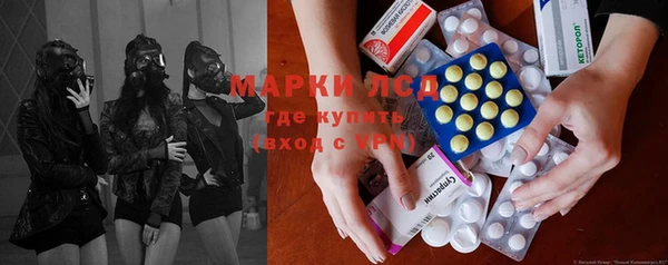 ПСИЛОЦИБИНОВЫЕ ГРИБЫ Майский