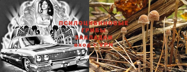 ПСИЛОЦИБИНОВЫЕ ГРИБЫ Майский