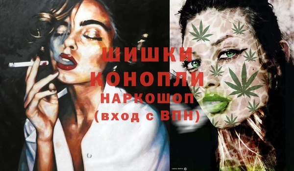 прущие грибы Ахтубинск