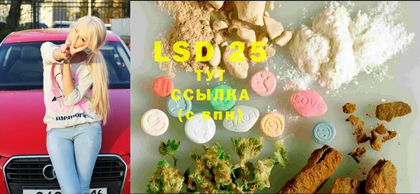 ПСИЛОЦИБИНОВЫЕ ГРИБЫ Майский