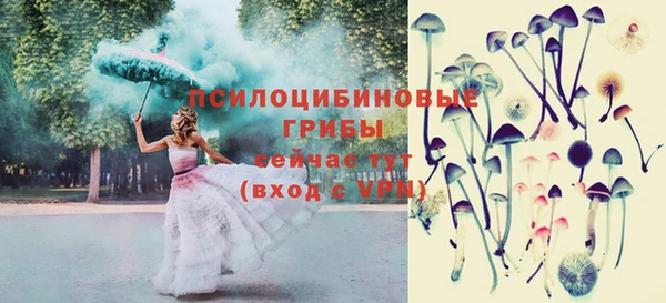 гашик Магас