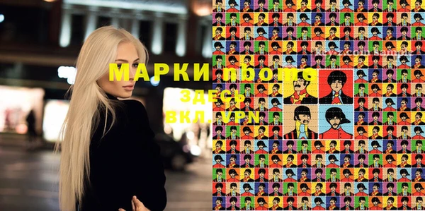 индика Магадан