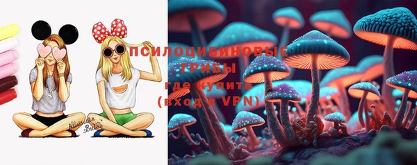 ПСИЛОЦИБИНОВЫЕ ГРИБЫ Майский