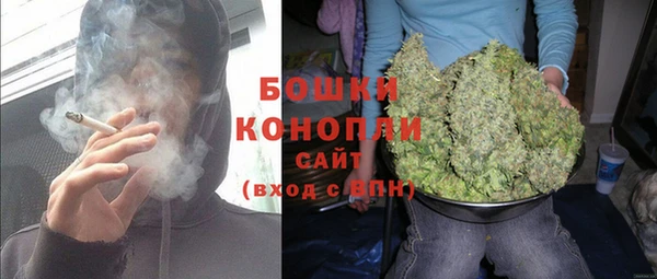 индика Магадан