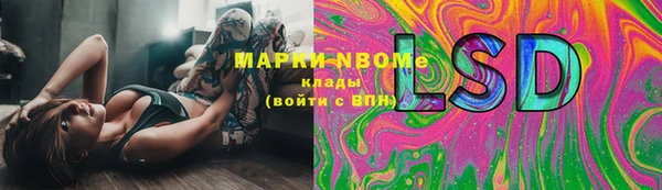 индика Магадан