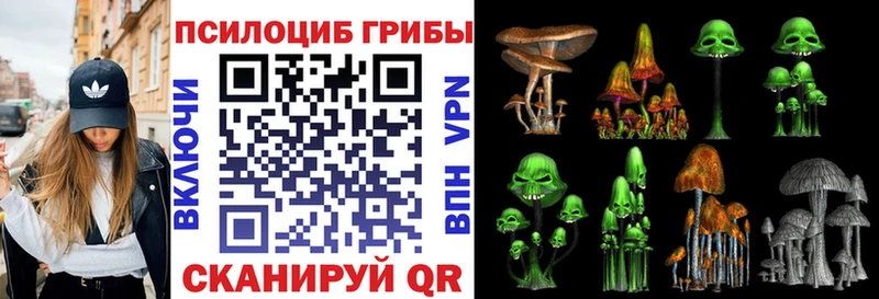Псилоцибиновые грибы прущие грибы  Шумерля 