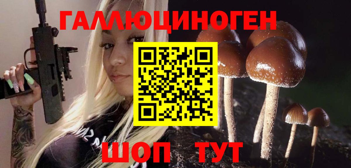 Галлюциногенные грибы GOLDEN TEACHER Шумерля
