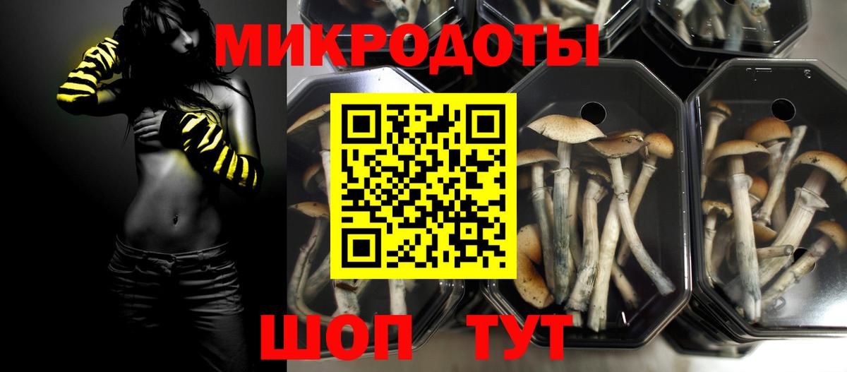 Галлюциногенные грибы Cubensis  Шумерля  Галлюциногенные грибы GOLDEN TEACHER 